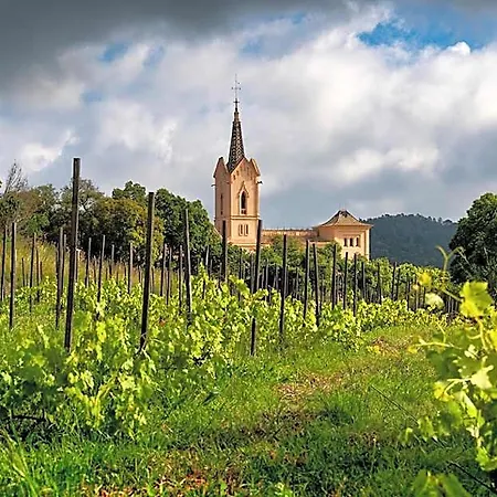 Sant Pere Del Bosc & - Adults Recommended Hotel Lloret de Mar