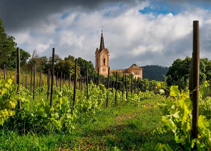 Sant Pere Del Bosc & - Adults Recommended Hotel